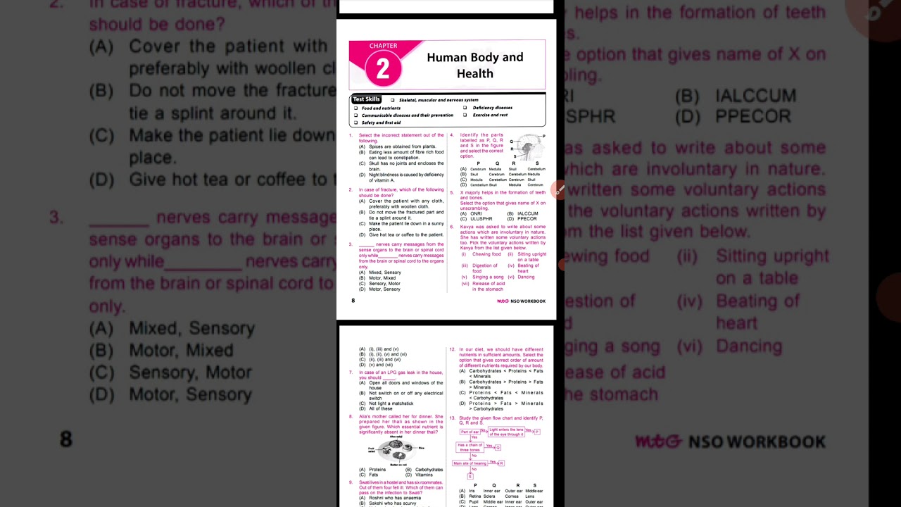 Chapter 2 – Human Body &amp; Health