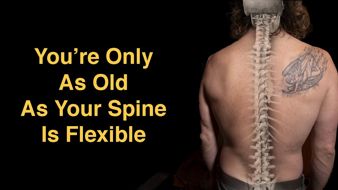 Spine Health Is Whole Body Health – Interview With A Chiropractor