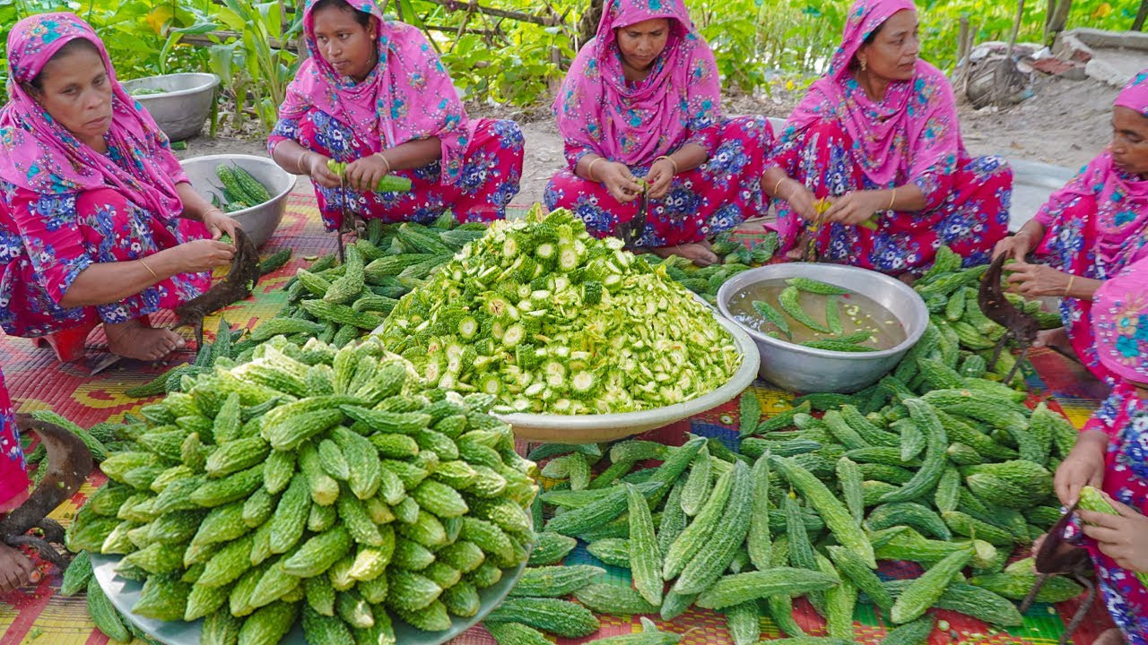 100% Pure Vegetarian Healthy Food Recipe – Bitter Melon Delicious Fry Cooking in Village