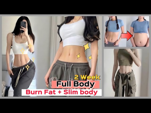 Easy Exercise to Lose Full Body | Burn fat | Get Perfect Body in 2 Week